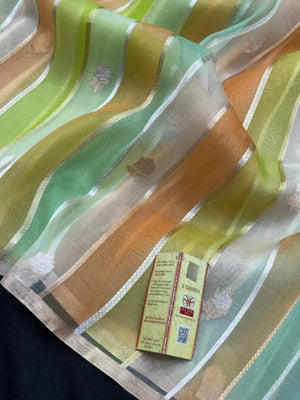 Timeless Elegance in Pure Tissue Kota Silk