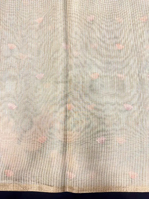 Graceful Semi Tissue Organza Saree for Party & Occasion Wear