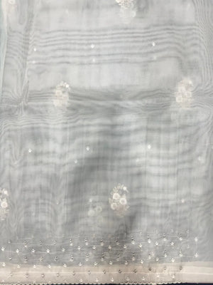 Elegant Organza Saree with Intricate Border – Lightweight & Stylish (Silver Tissue)