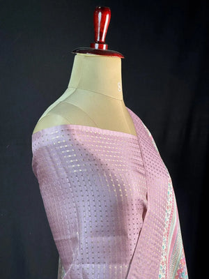 Tradition & Luxury in Tussar Silk-Snow Net