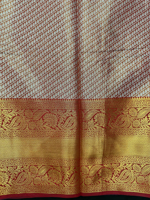 Model draped in a shimmering Tissue Banarasi Silk Saree with zari border, ideal for wedding and festive celebrations.