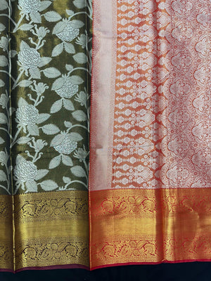 Model draped in a shimmering Tissue Banarasi Silk Saree with zari border, ideal for wedding and festive celebrations.