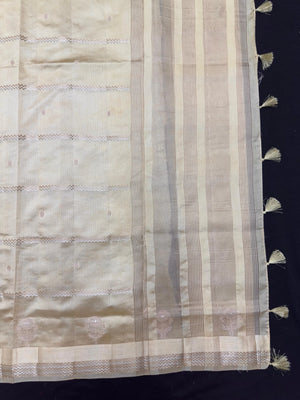 Tissue silk saree with shimmer finish – modern ethnic fashion