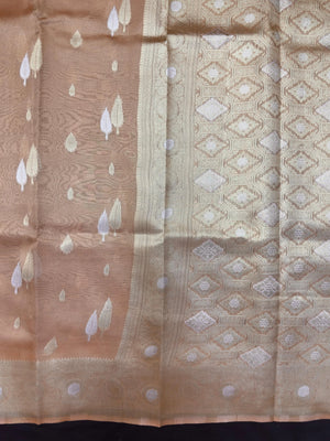 Tissue silk saree with shimmer finish – modern ethnic fashion