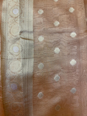Tissue silk saree with shimmer finish – modern ethnic fashion