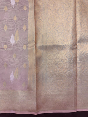 Tissue silk saree with shimmer finish – modern ethnic fashion